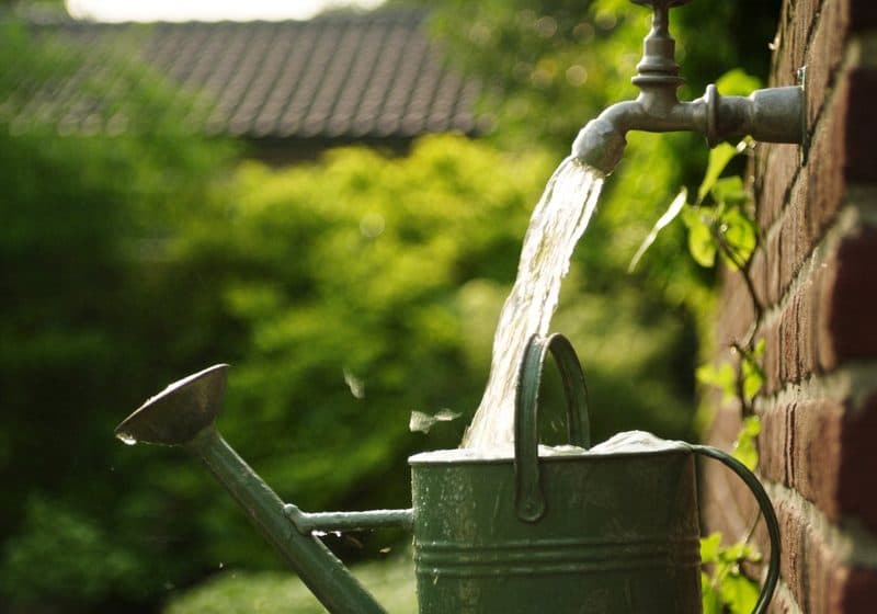 Water klettert uit een tuinkraan in een zinken gieter, met een groene tuin op de achtergrond