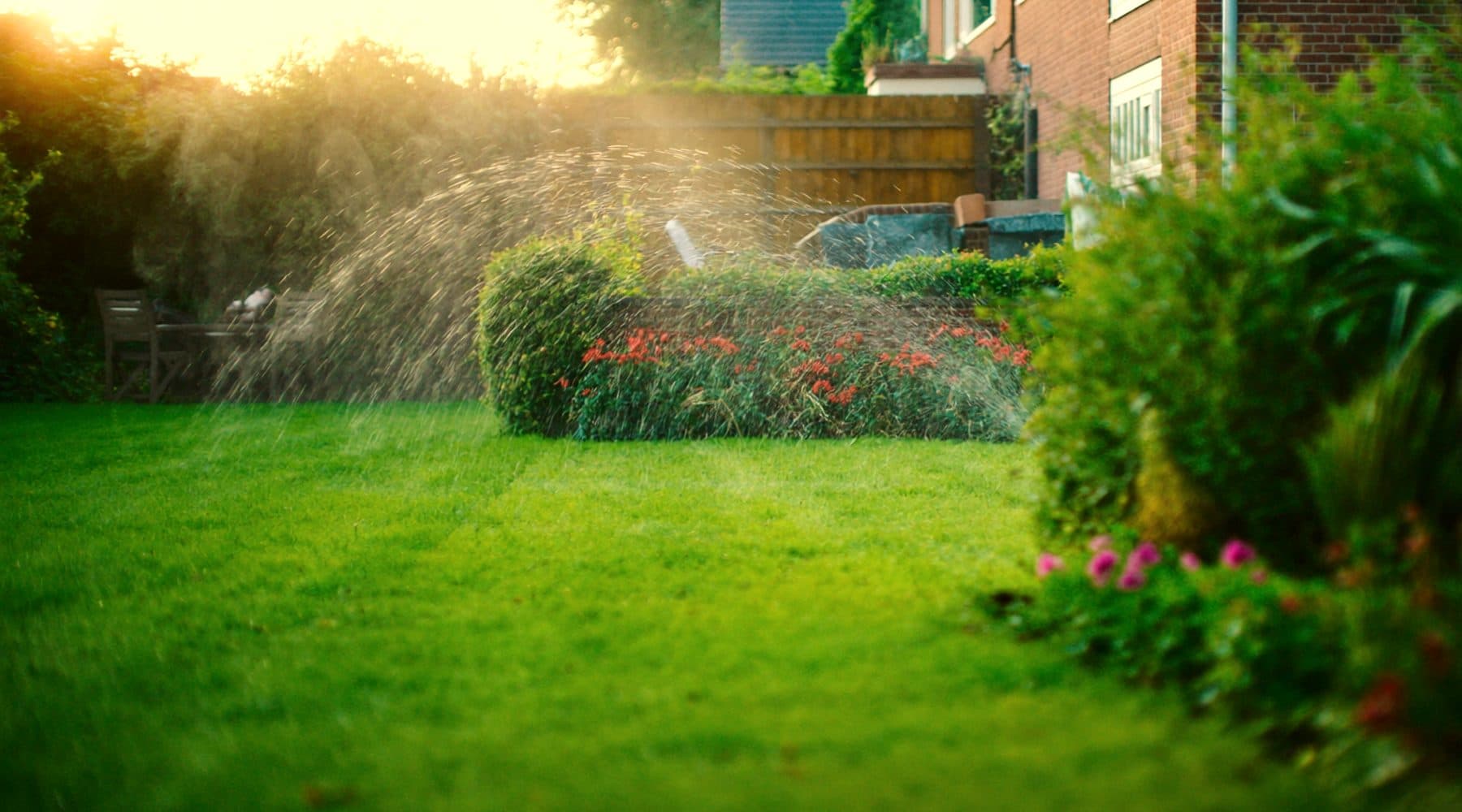 Groene tuin met een gazon en beplanting, beregend met opgevangen regenwater
